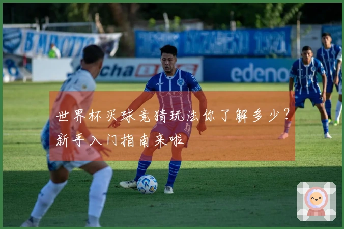 世界杯买球竞猜玩法你了解多少？新手入门指南来啦