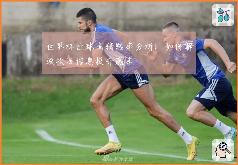 世界杯让球竞猜赔率分析：如何解读投注信息提升赢率