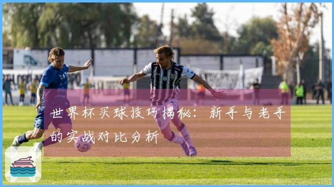 世界杯买球技巧揭秘：新手与老手的实战对比分析