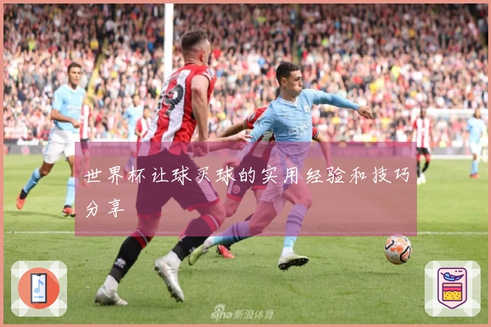 世界杯让球买球的实用经验和技巧分享