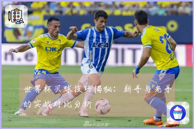 世界杯买球技巧揭秘：新手与老手的实战对比分析