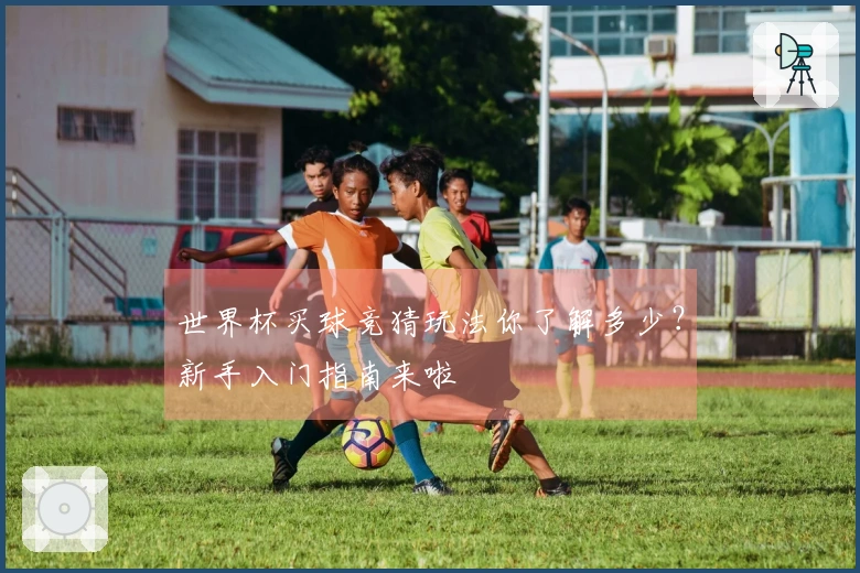 世界杯买球竞猜玩法你了解多少？新手入门指南来啦