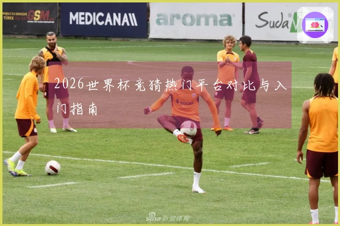 2026世界杯竞猜热门平台对比与入门指南
