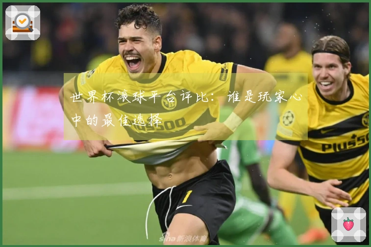 世界杯滚球平台评比：谁是玩家心中的最佳选择