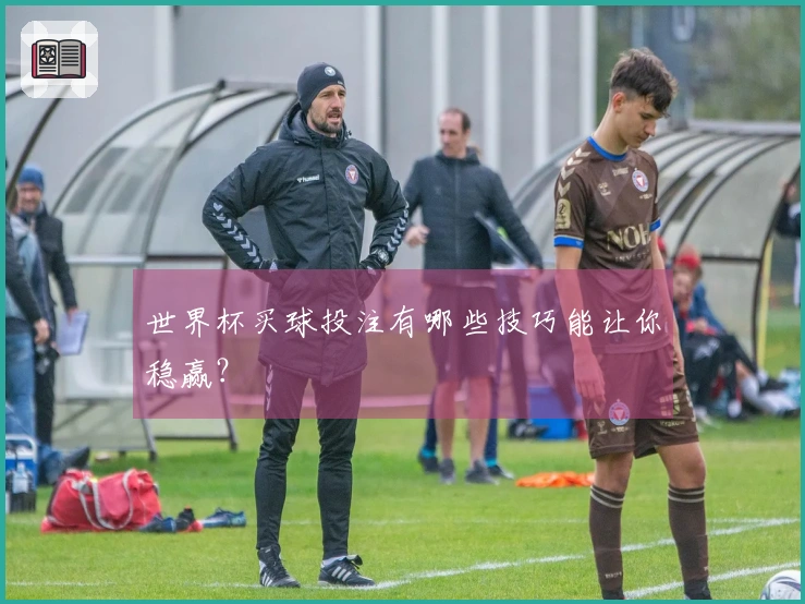 世界杯买球投注有哪些技巧能让你稳赢？