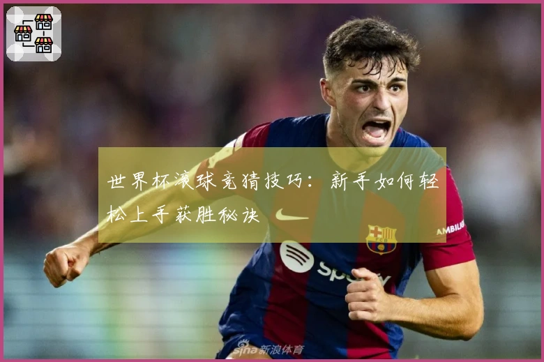 世界杯滚球竞猜技巧：新手如何轻松上手获胜秘诀