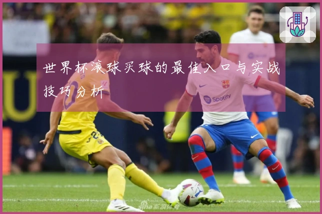 世界杯滚球买球的最佳入口与实战技巧分析