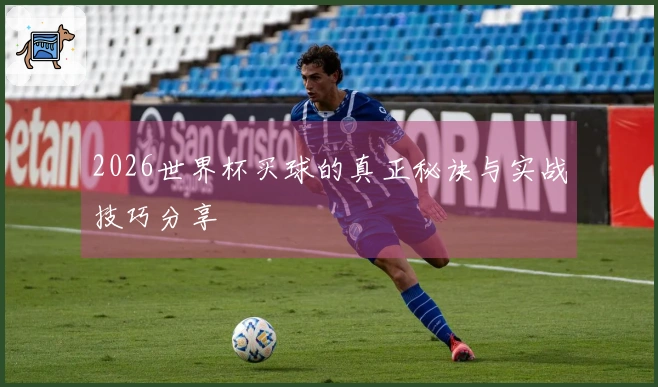 2026世界杯买球的真正秘诀与实战技巧分享