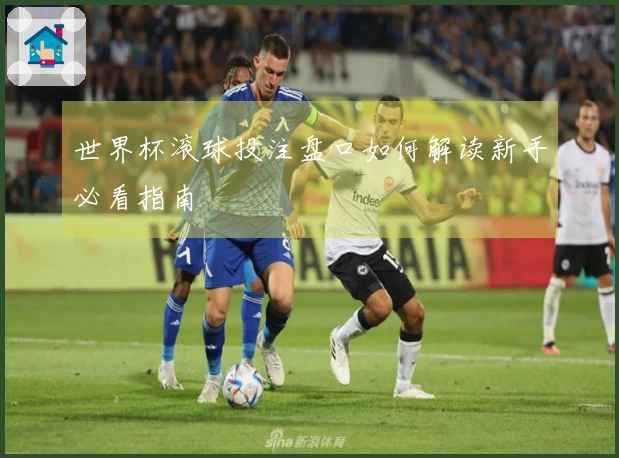 世界杯滚球投注盘口如何解读新手必看指南