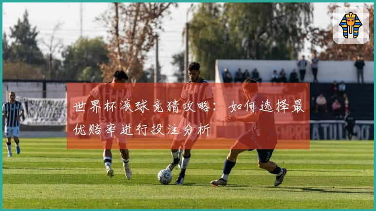 世界杯滚球竞猜攻略：如何选择最优赔率进行投注分析