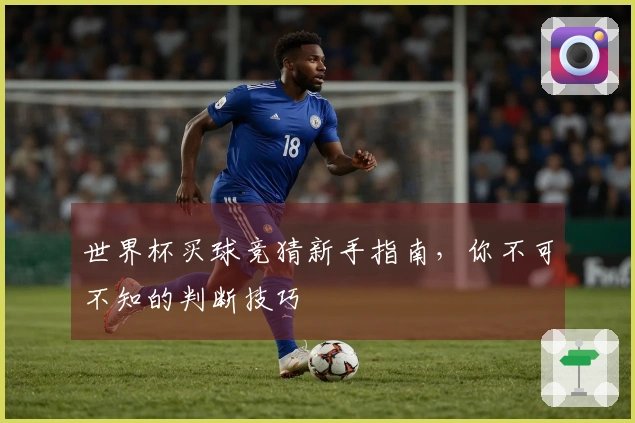 世界杯买球竞猜新手指南，你不可不知的判断技巧