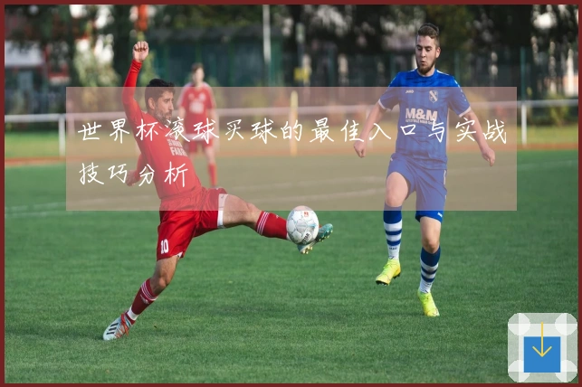 世界杯滚球买球的最佳入口与实战技巧分析